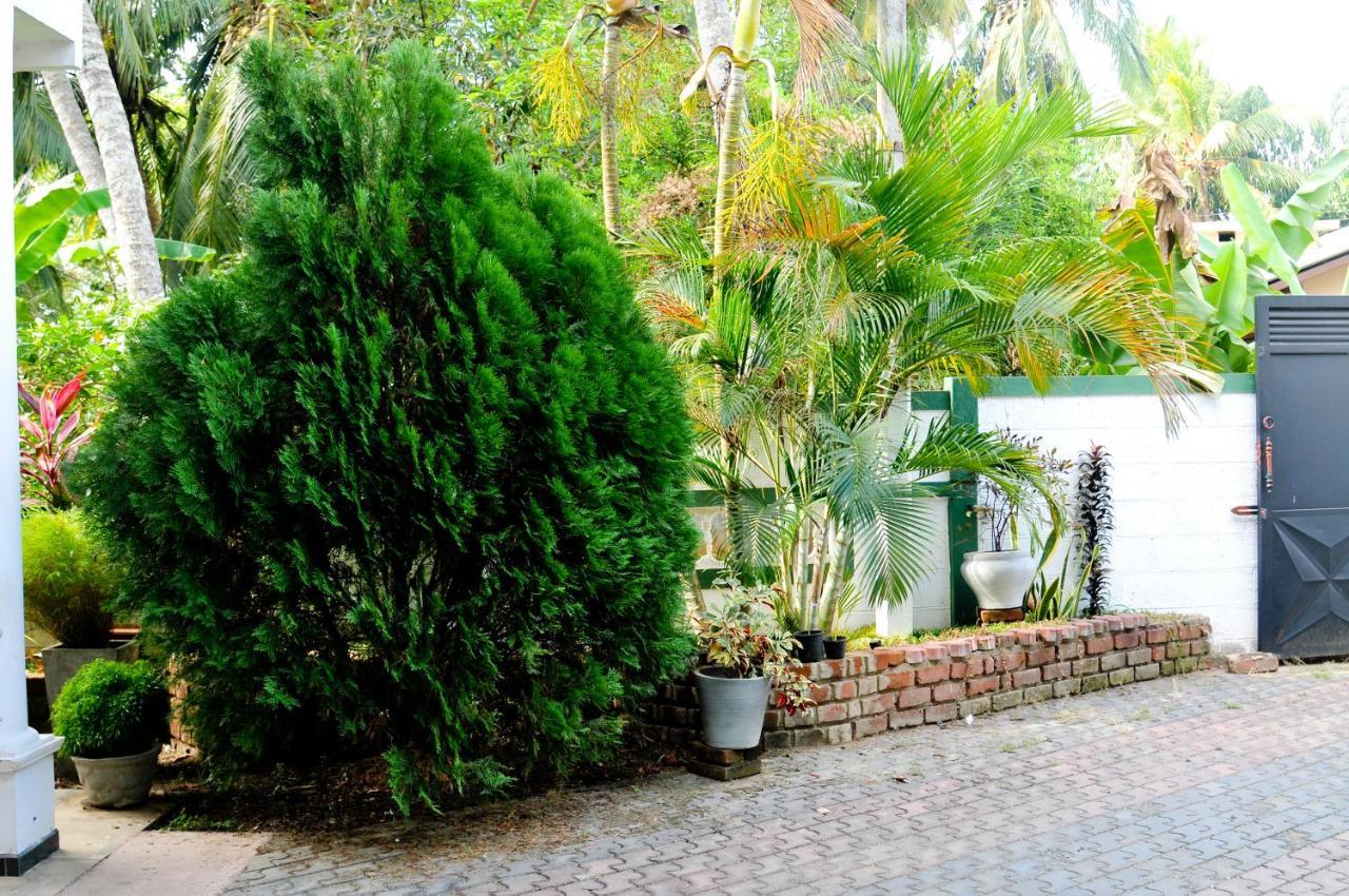 Myr-O Homestay Kombichankulama Exterior foto